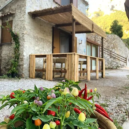 Tenuta Bosco Cetara Esterno foto