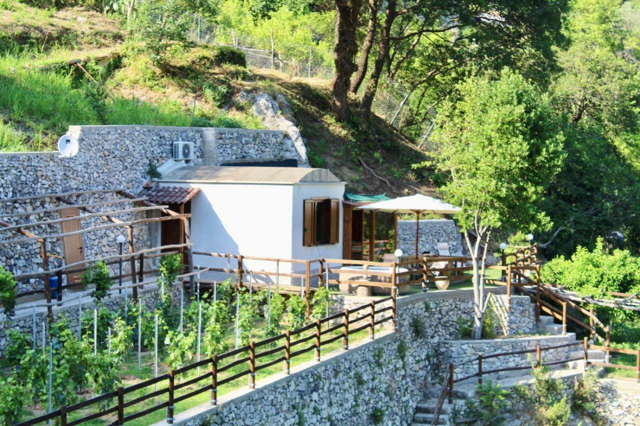 Tenuta Bosco-casa Vacanze *