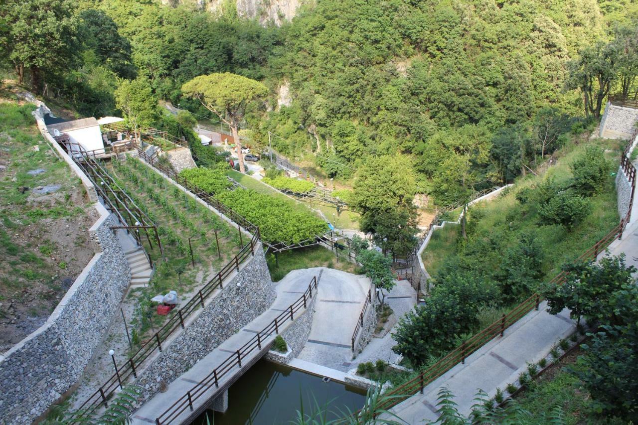 Tenuta Bosco-casa Vacanze