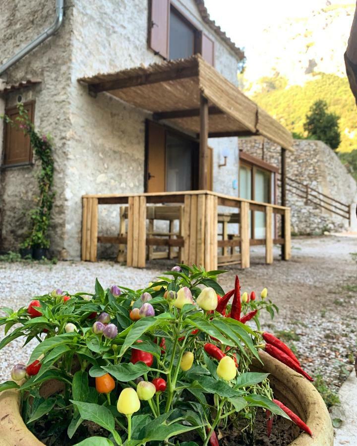 Tenuta Bosco-casa Vacanze Holiday home